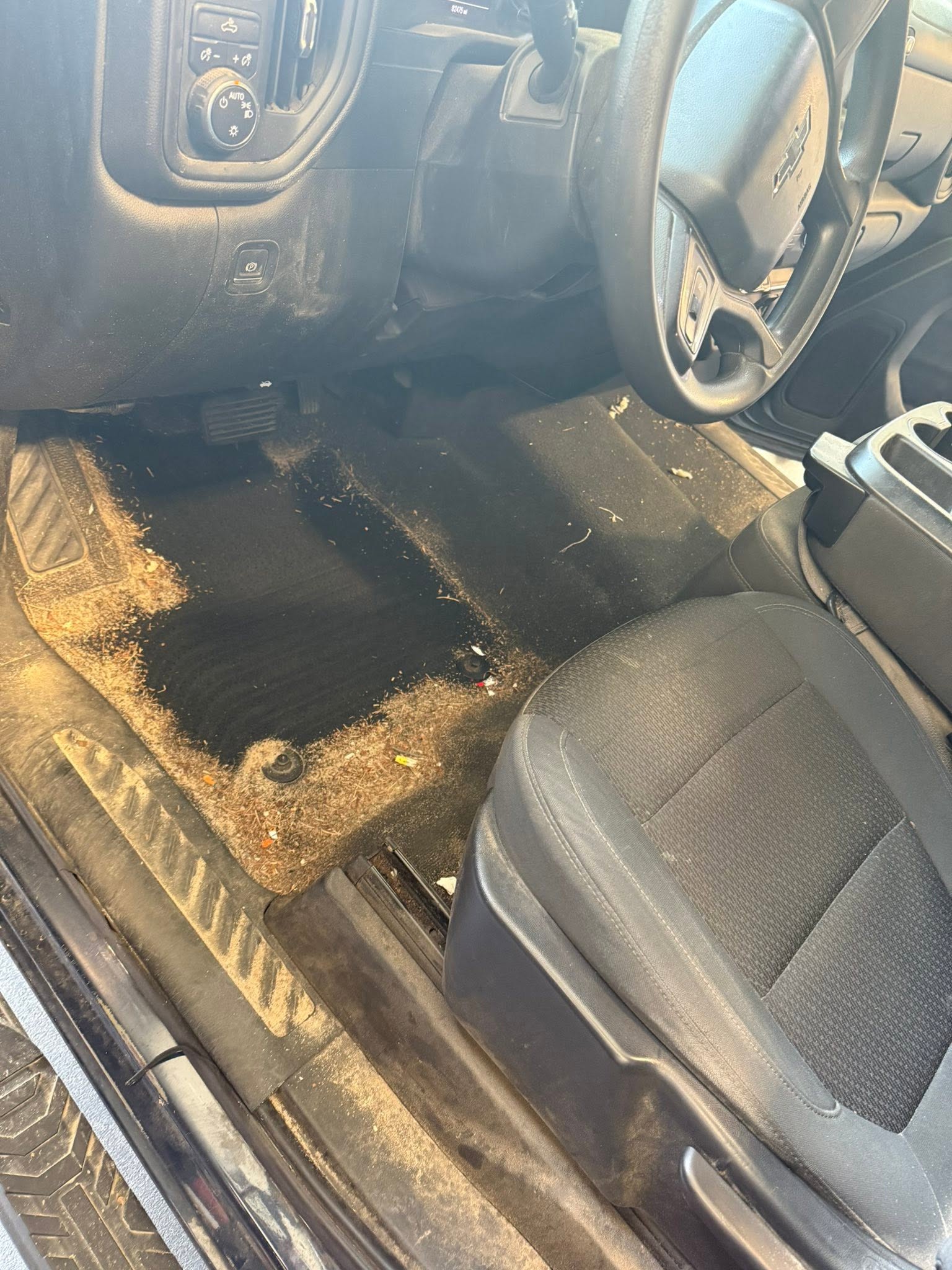 Truck floorboard filled with pine needles and dirt before detailing